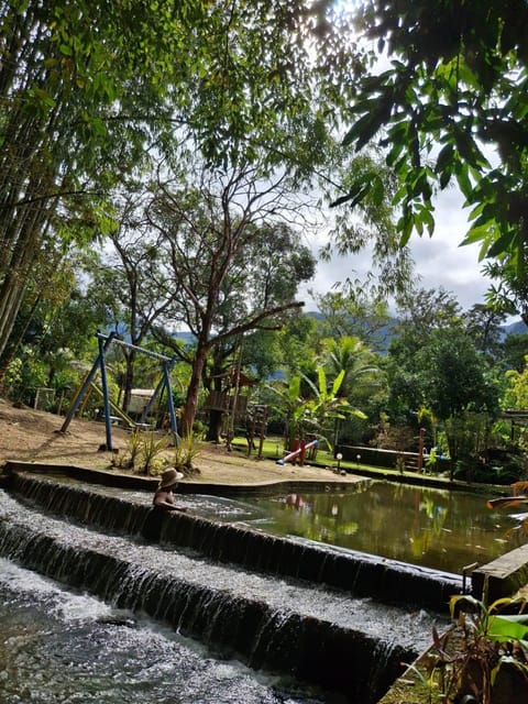 Natural landscape, River view