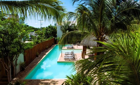 Day, Natural landscape, Garden, Pool view, Swimming pool, Swimming pool, sunbed