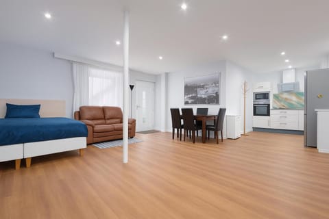 Bed, TV and multimedia, Kitchen or kitchenette, Living room, Photo of the whole room, Seating area, Dining area, Bedroom, oven