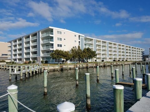 Thunder Island 91B condo Apartment in Isle of Wight Bay