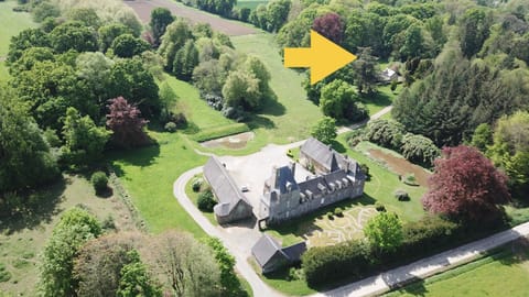 Natural landscape, Bird's eye view, Garden, Garden view