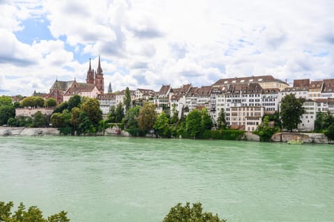 Casa Rheinblick - Apartment D Apartment in Basel