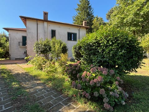 Property building, Day, Garden