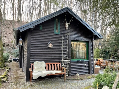 Haus am See Apartment in Rhineland-Palatinate