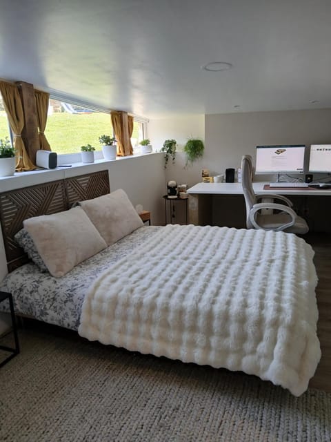 Photo of the whole room