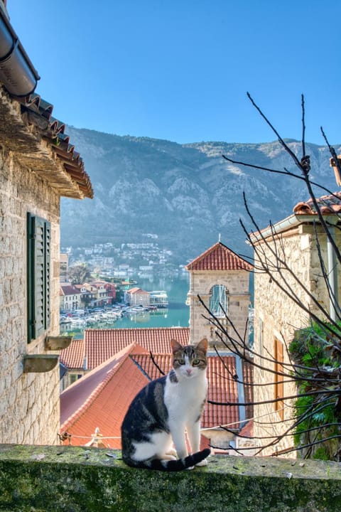 Day, Natural landscape, Mountain view