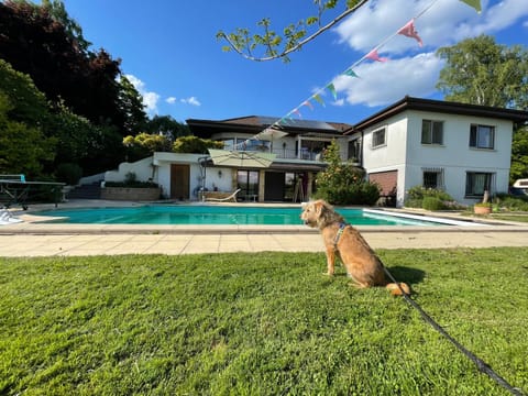 Garden, Pets, Garden view, Pool view, Swimming pool