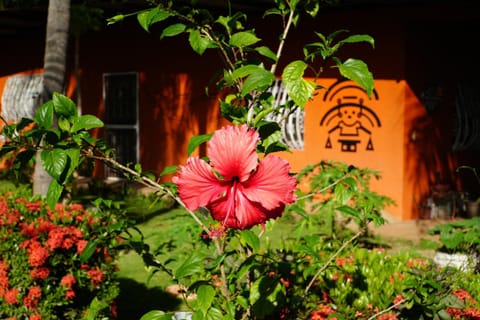 Day, Garden, Garden view