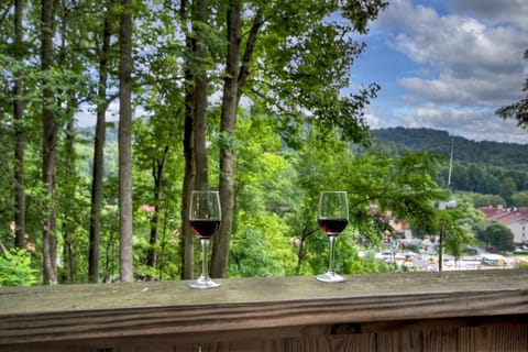 New Alpenrosen Haus-Arcade Hot Tub Sauna Views House in Helen