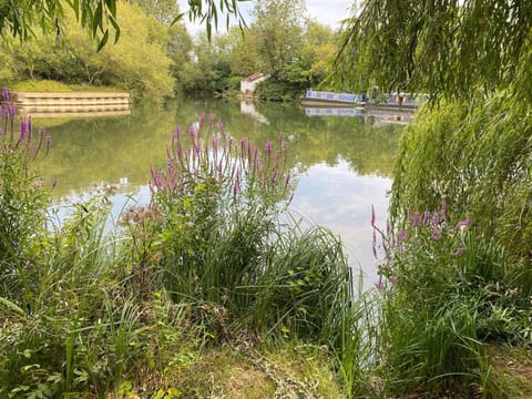 Garden, Garden view, River view