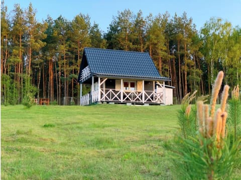 Property building, Natural landscape, Garden, Garden view