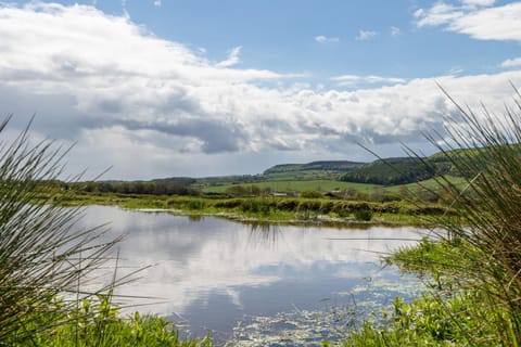 The Grainary Cottages House in England