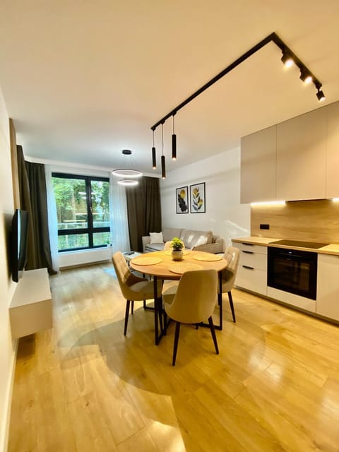 Kitchen or kitchenette, Living room, Dining area, oven