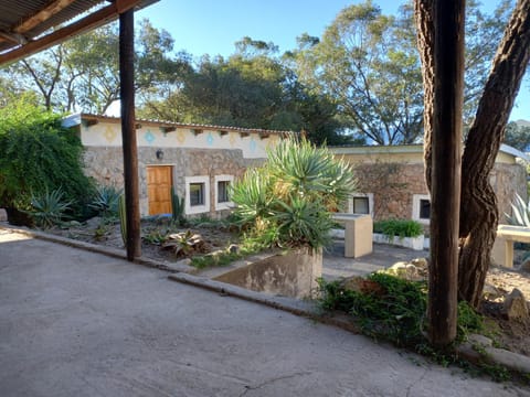 Property building, Garden view