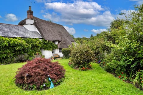 Patio, Garden, Garden view