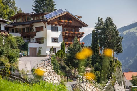 Property building, Summer