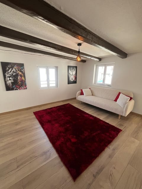 Maison cosy - salle de jeux, cinéma et jacuzzi Villa in Baden-Württemberg