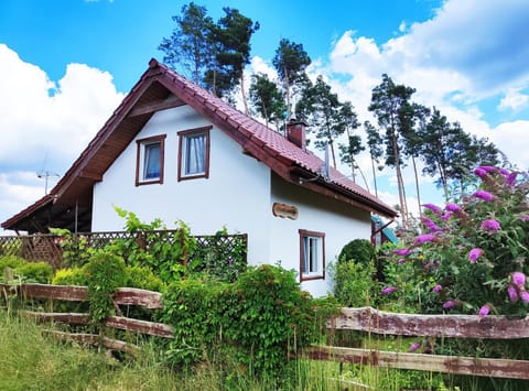 Day, Natural landscape, View (from property/room), Garden view