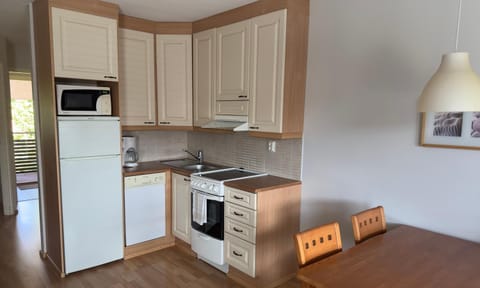 Kitchen or kitchenette, dishwasher, oven