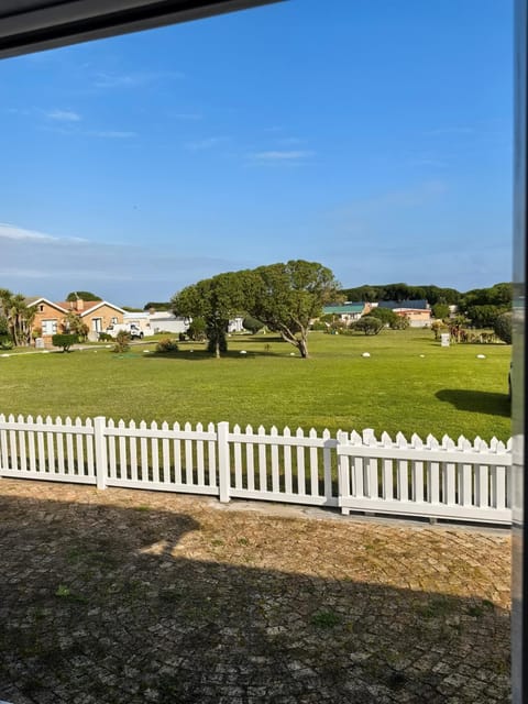 Spring, Day, Natural landscape, Garden, Garden, Garden view