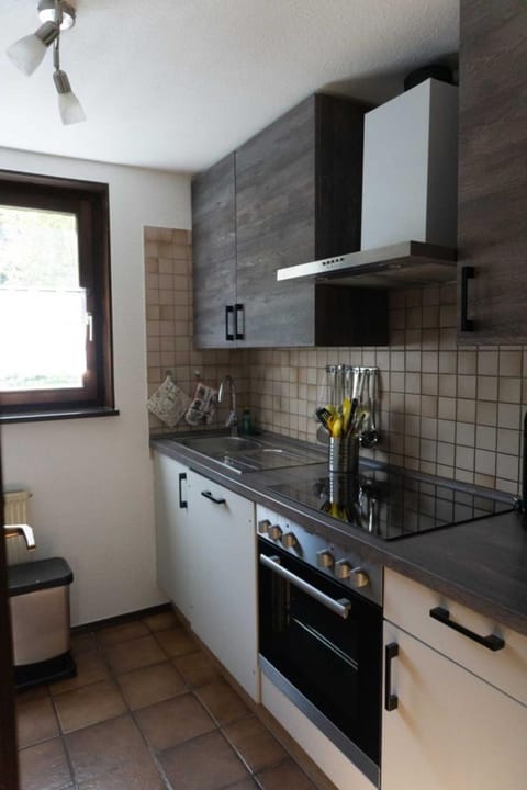 Haus Im Wiesengrund EG Apartment in Thalfang