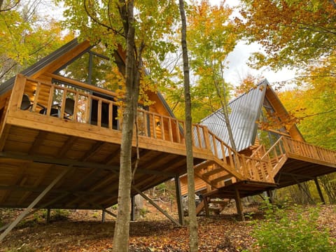 Forest Escape Villa in Montenegro