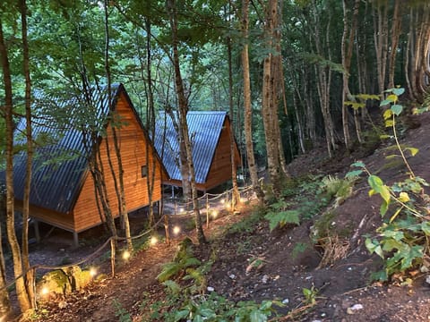 Forest Escape Villa in Montenegro