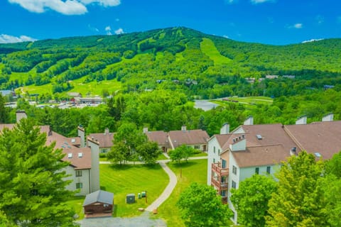 17A Mountain Village #241 Apartment in Dover