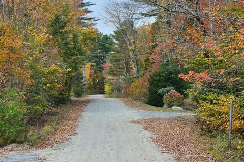 Frozen Jamaica House in Jamaica