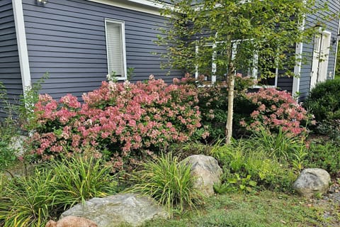 Frozen Jamaica House in Jamaica