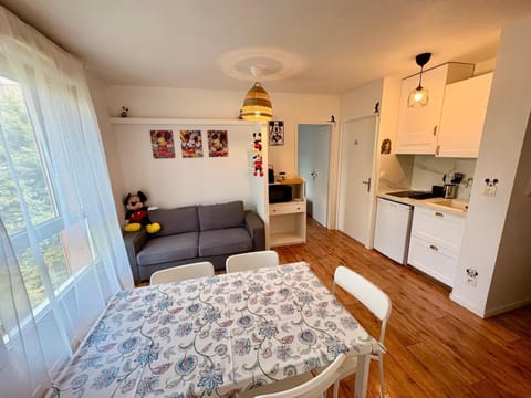 Living room, kitchen