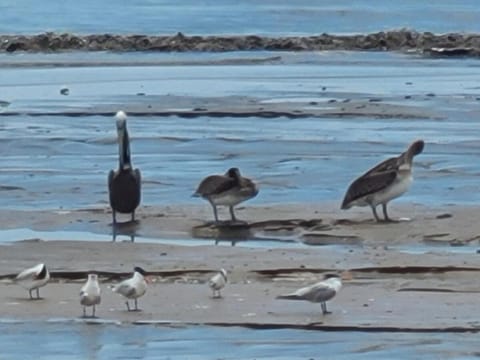 Home Away from Home 2 bedroom house House in Bay City