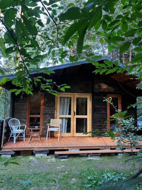 Garden, Balcony/Terrace