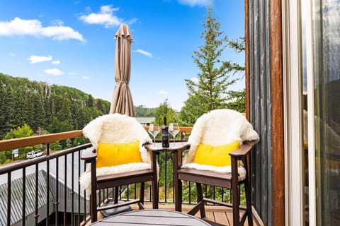 Upscale Ski In Out Condo 40 to Chondola Lift House in Telluride