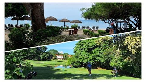 Day, Natural landscape, Golfcourse, Sea view