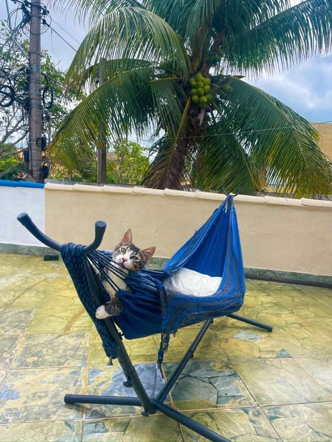 Nascer do Sol Guest House Bed and Breakfast in Armacao dos Buzios