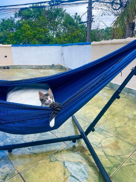 Nascer do Sol Guest House Bed and Breakfast in Armacao dos Buzios