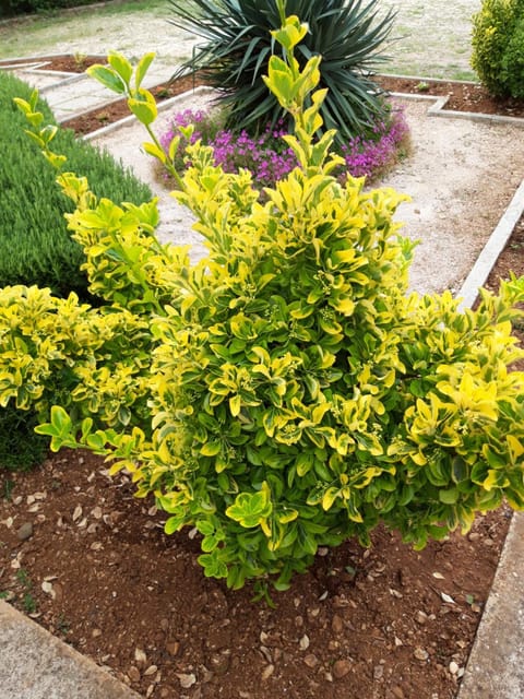 Apartments Laura i Angelina Apartment in Šibenik-Knin County, Croatia