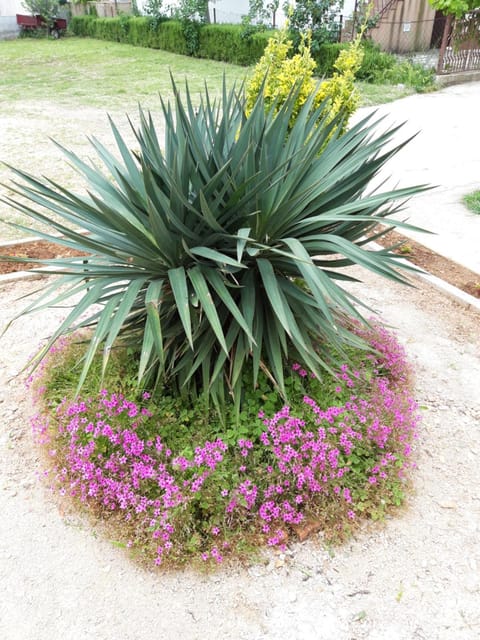 Apartments Laura i Angelina Apartment in Šibenik-Knin County, Croatia