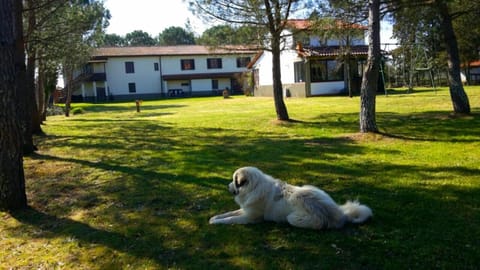 Property building, Garden, Garden view