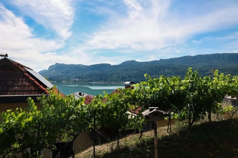Lake view