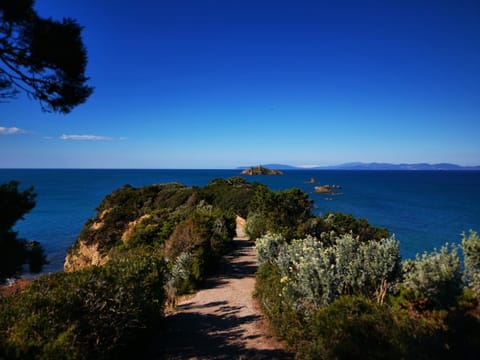 Hiking, Cycling, Sea view