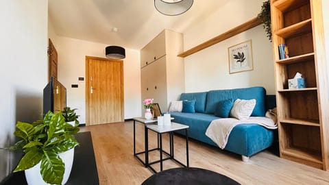 Communal lounge/ TV room, TV and multimedia, Living room