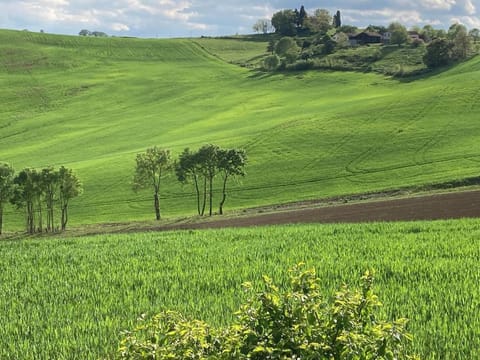 Natural landscape