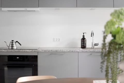 Kitchen or kitchenette, stove