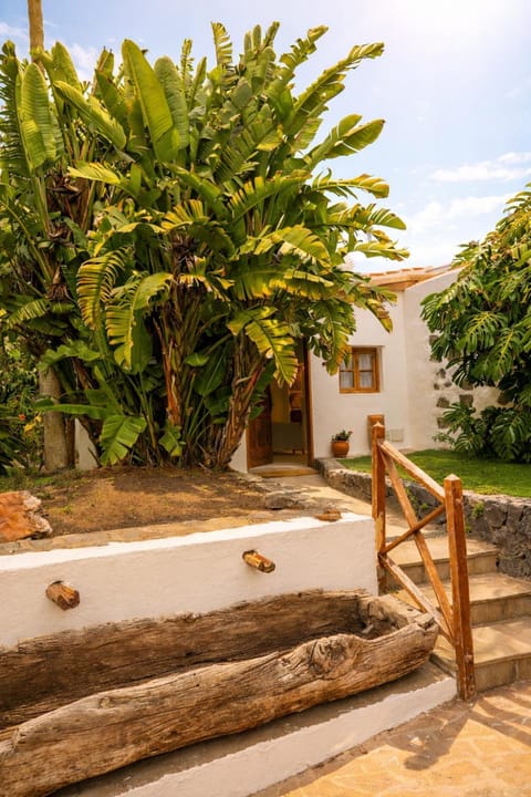 Patio, Garden, Lobby or reception, Garden view