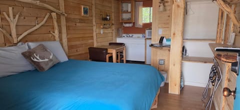 Dog Friendly Room with a Queen Bed and Kitchenette at the Cedaredge Lodge Nature lodge in Cedaredge