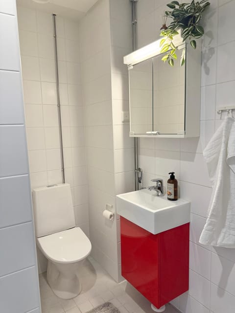 Videsten Old Town Studio Apartment in Finland