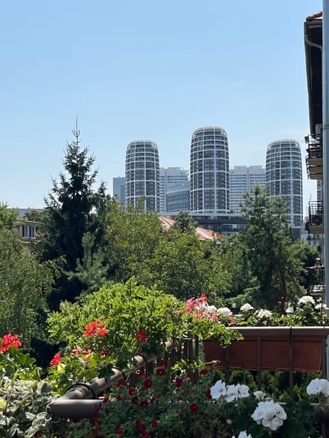 Garden, City view, Garden view