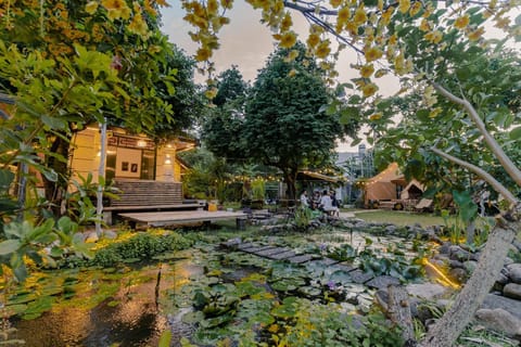 Natural landscape, Garden view